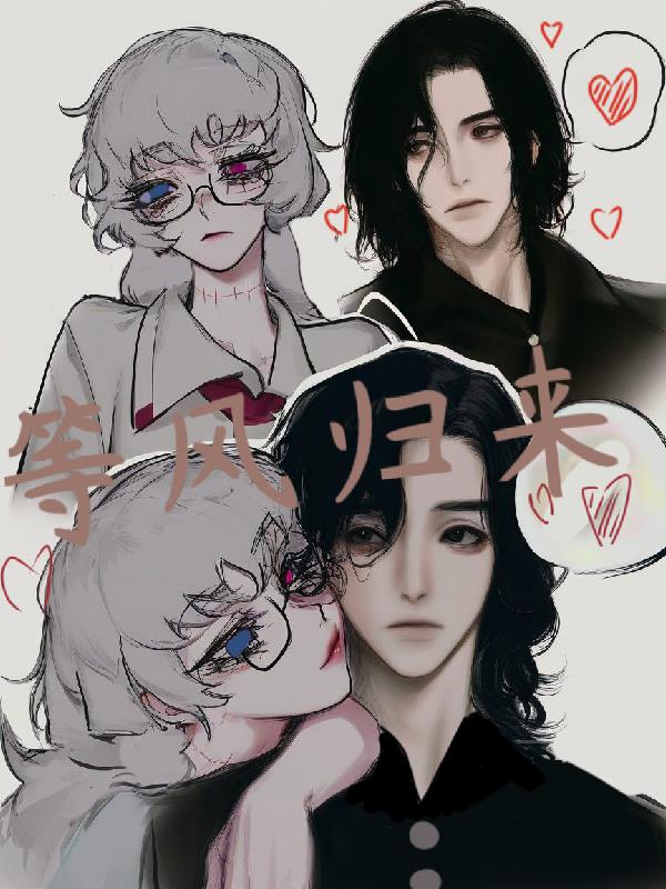 等风归来风不来