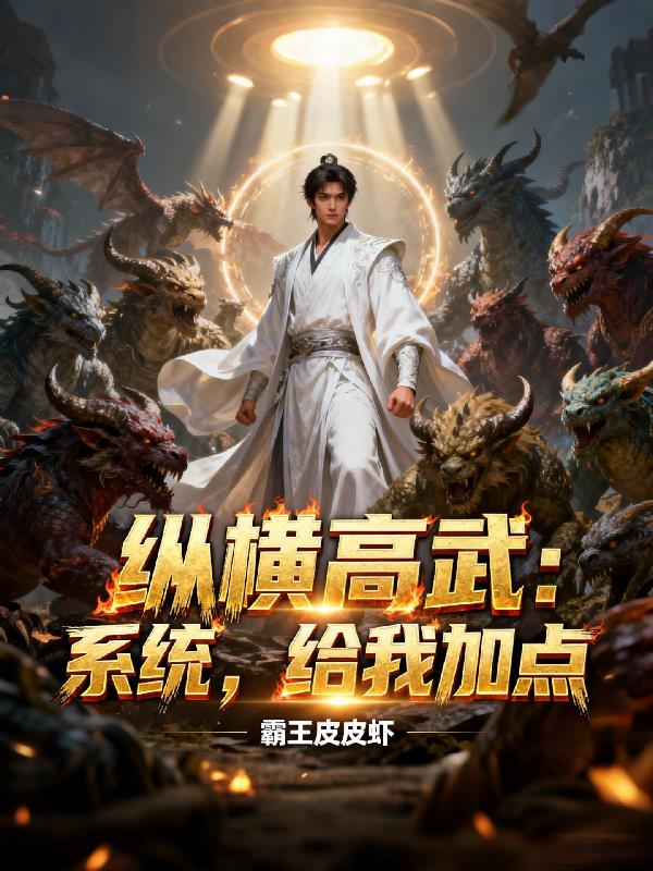 纵横高武系统给我加点